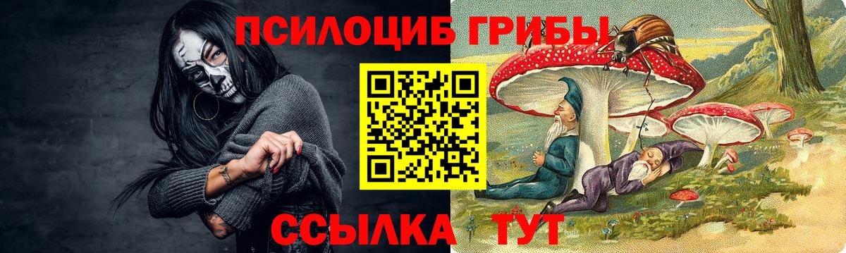Псилоцибиновые грибы ЛСД Азнакаево