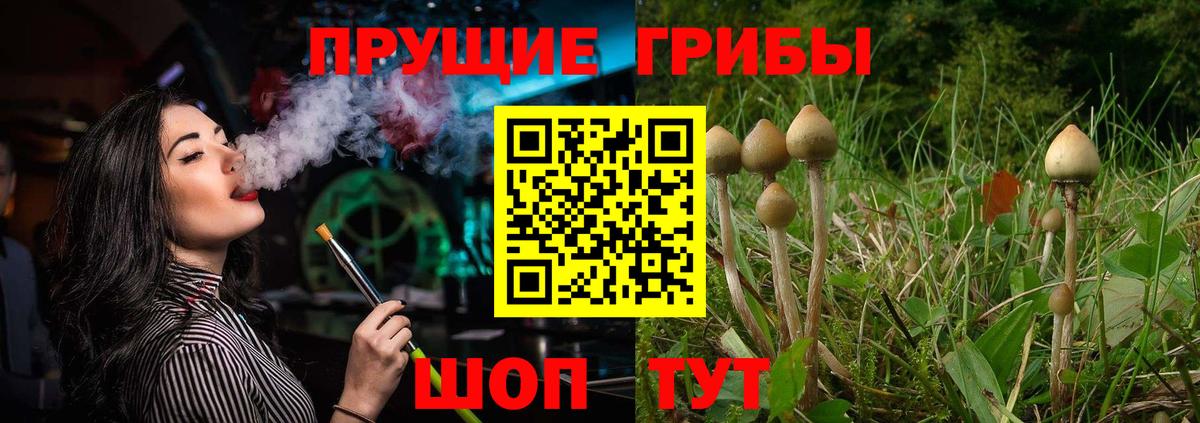 Псилоцибиновые грибы ЛСД  Галлюциногенные грибы Cubensis  Вход с VPN  Азнакаево 